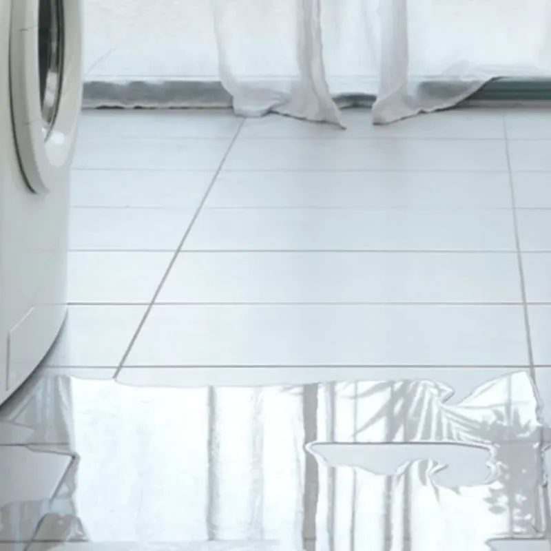 Appliance Leak Cleanup in Mecosta County, MI