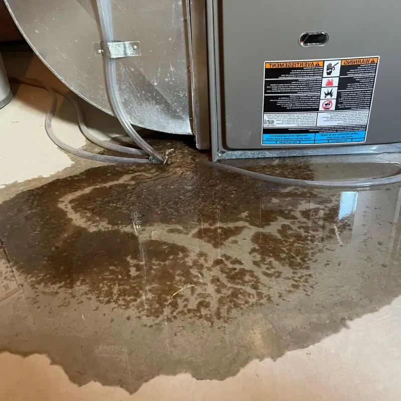 Pipe Burst and Leak Restoration in Mecosta County, MI